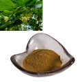 factory suppy high quality linden flower extract/linden tree blossom extract powder 10:1